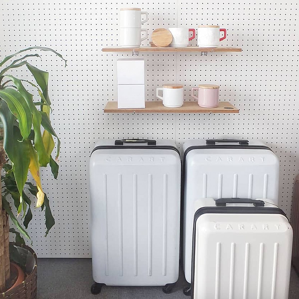 AY-PAE107-19ã®å•†å“ç”»åƒ