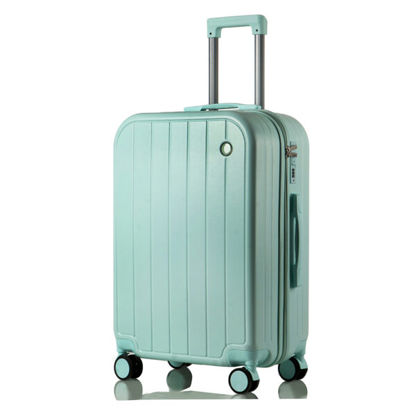 #6205suitcase_mint